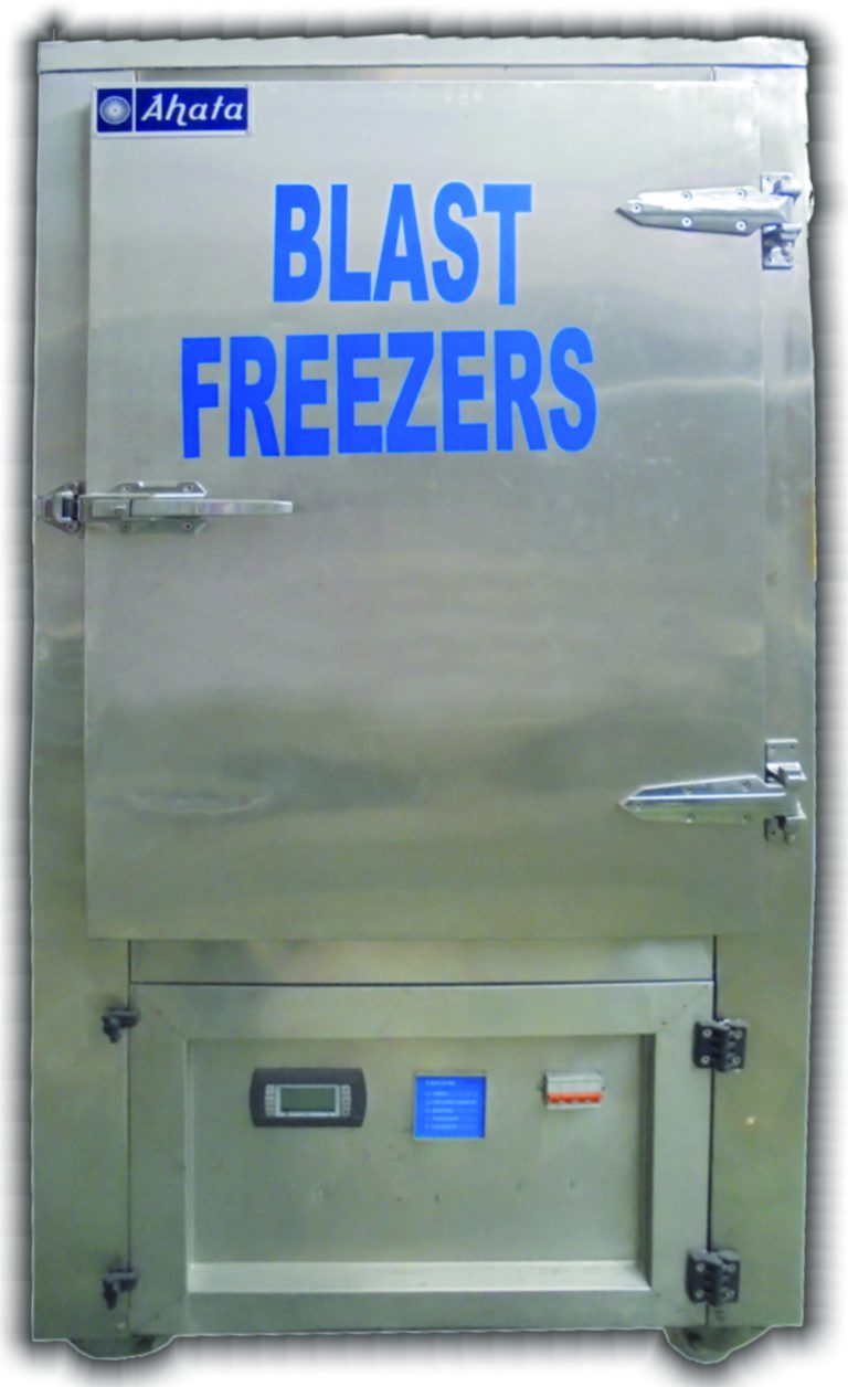 Mini Blast Freezer (ABF013PP) Cold Room Manufacturer in India