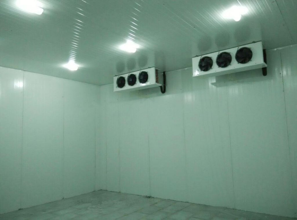 Cold room 800 cft Cold Room Manufacturer in India Ahata Industries